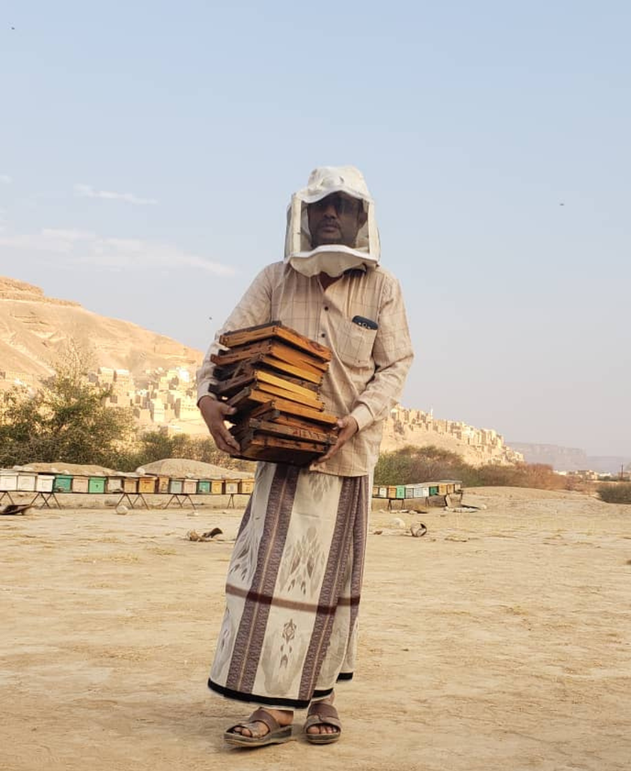 traditional beekeeping, yemen beekeeper