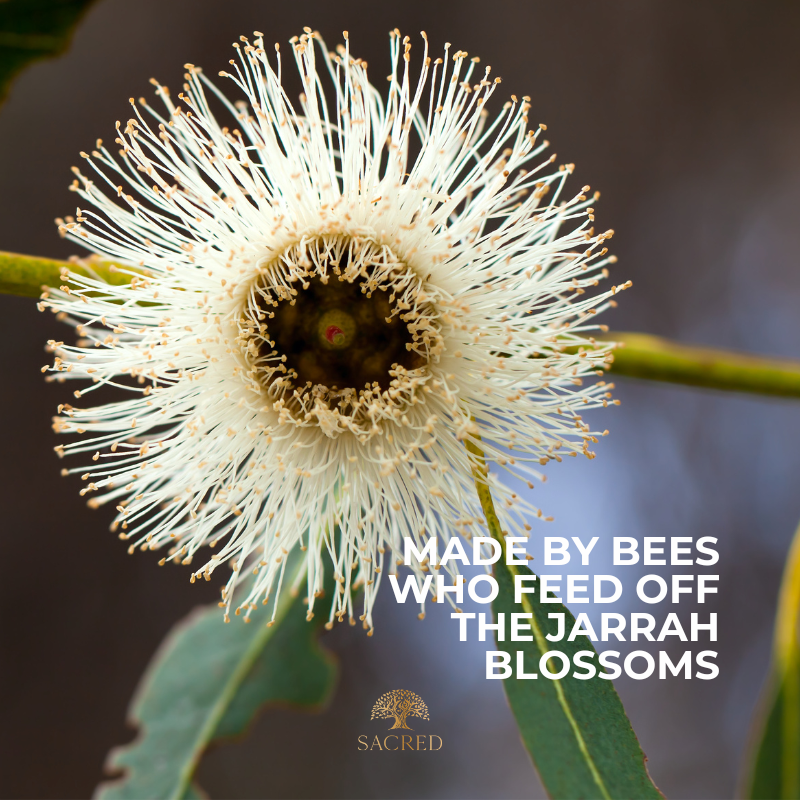 Australian honey - Jarrah honey. Pure & Raw