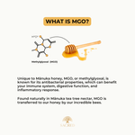 HIGH MGO HONEY AUSTRALIA